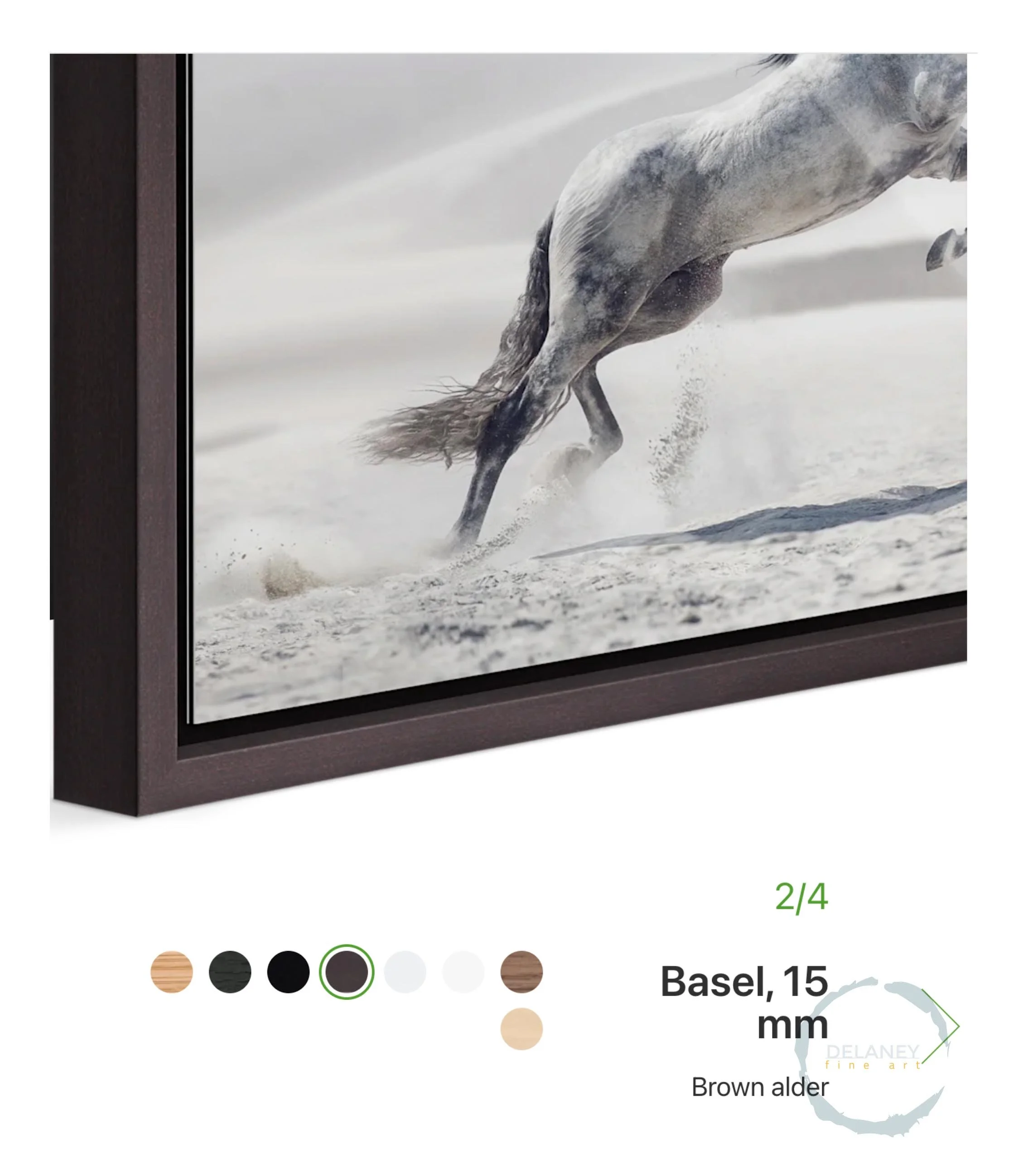 African Wildlife | Black and White Fine Art Prints